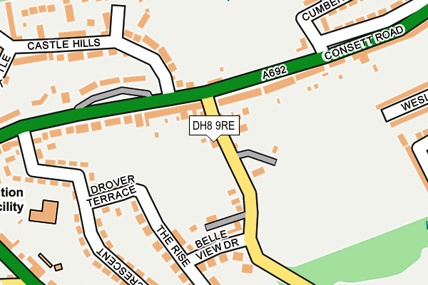 DH8 9RE map - OS OpenMap – Local (Ordnance Survey)