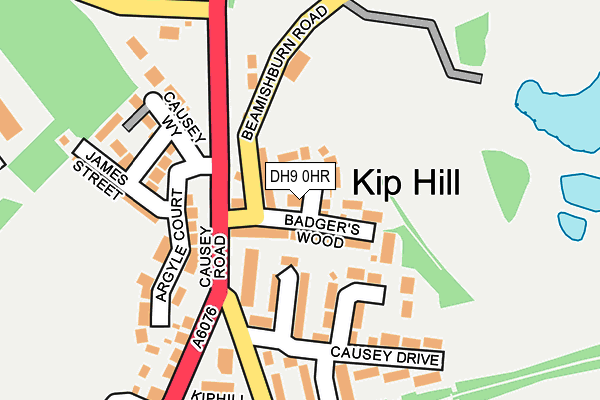 DH9 0HR map - OS OpenMap – Local (Ordnance Survey)