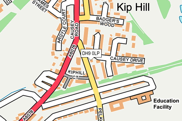 DH9 0LP map - OS OpenMap – Local (Ordnance Survey)