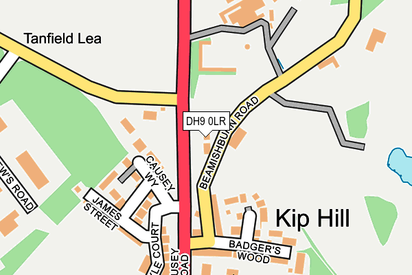 DH9 0LR map - OS OpenMap – Local (Ordnance Survey)