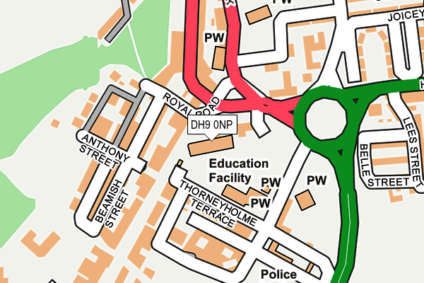 DH9 0NP map - OS OpenMap – Local (Ordnance Survey)