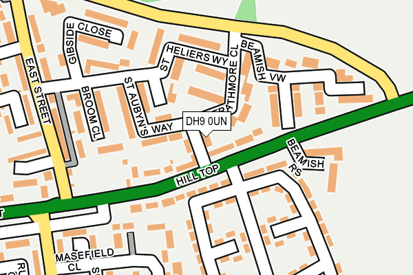 DH9 0UN map - OS OpenMap – Local (Ordnance Survey)