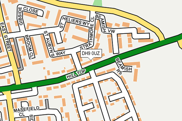 DH9 0UZ map - OS OpenMap – Local (Ordnance Survey)