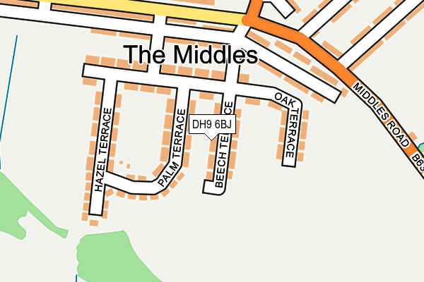 DH9 6BJ map - OS OpenMap – Local (Ordnance Survey)