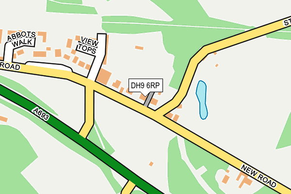 DH9 6RP map - OS OpenMap – Local (Ordnance Survey)