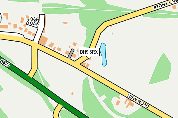 DH9 6RX map - OS OpenMap – Local (Ordnance Survey)