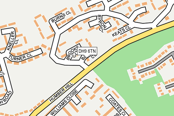 DH9 6TN map - OS OpenMap – Local (Ordnance Survey)