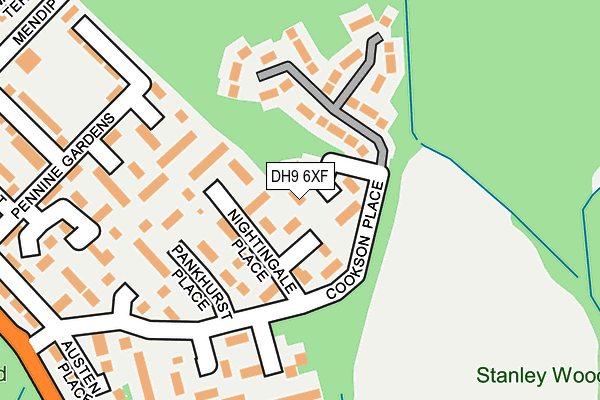 DH9 6XF map - OS OpenMap – Local (Ordnance Survey)