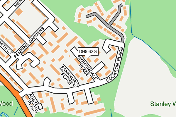 DH9 6XG map - OS OpenMap – Local (Ordnance Survey)