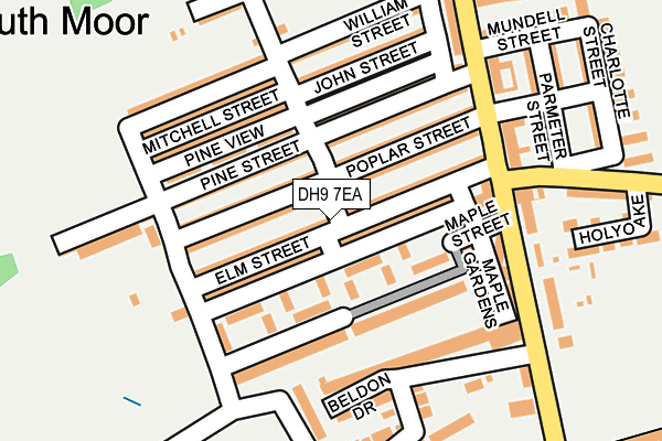 DH9 7EA map - OS OpenMap – Local (Ordnance Survey)