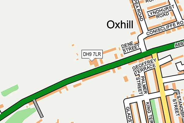 DH9 7LR map - OS OpenMap – Local (Ordnance Survey)