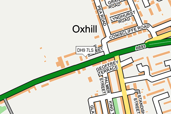DH9 7LS map - OS OpenMap – Local (Ordnance Survey)