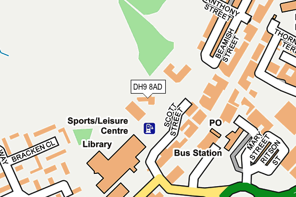DH9 8AD map - OS OpenMap – Local (Ordnance Survey)