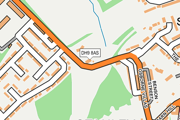 DH9 8AS map - OS OpenMap – Local (Ordnance Survey)
