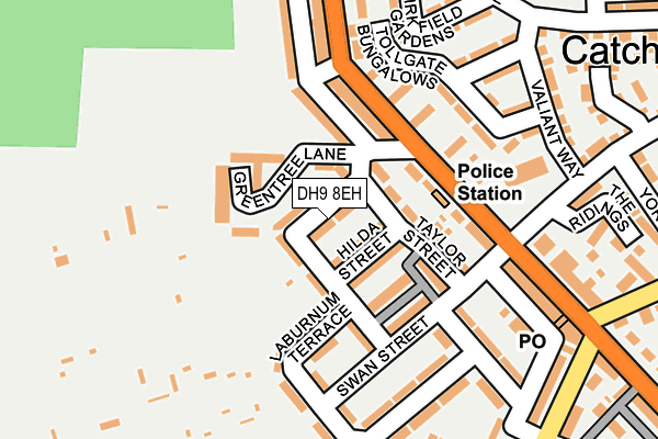 DH9 8EH map - OS OpenMap – Local (Ordnance Survey)