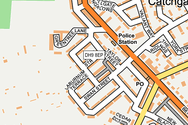 DH9 8EP map - OS OpenMap – Local (Ordnance Survey)