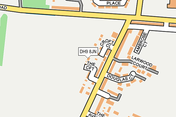 DH9 8JN map - OS OpenMap – Local (Ordnance Survey)