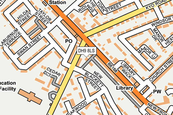 DH9 8LS map - OS OpenMap – Local (Ordnance Survey)