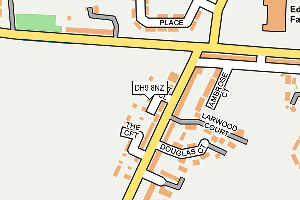 DH9 8NZ map - OS OpenMap – Local (Ordnance Survey)