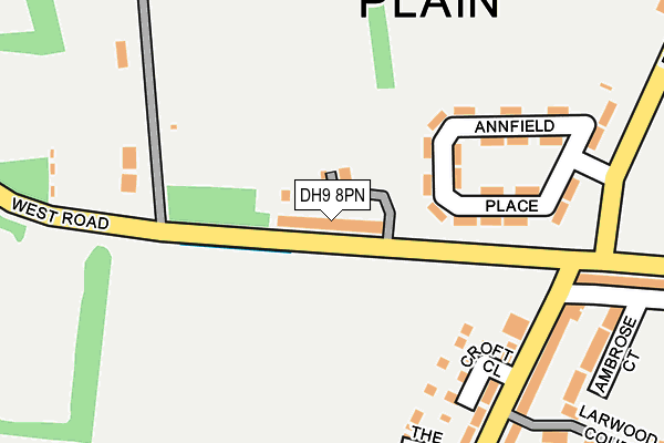 DH9 8PN map - OS OpenMap – Local (Ordnance Survey)