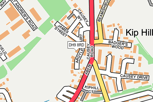 DH9 8RD map - OS OpenMap – Local (Ordnance Survey)