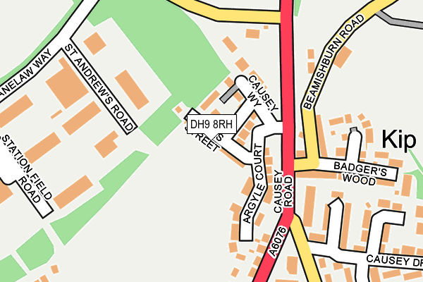 DH9 8RH map - OS OpenMap – Local (Ordnance Survey)