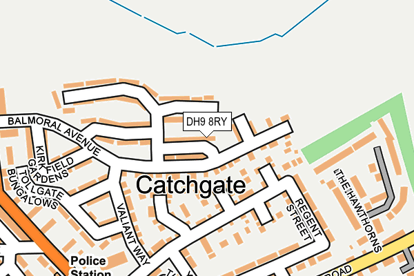 DH9 8RY map - OS OpenMap – Local (Ordnance Survey)