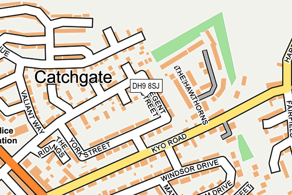 DH9 8SJ map - OS OpenMap – Local (Ordnance Survey)