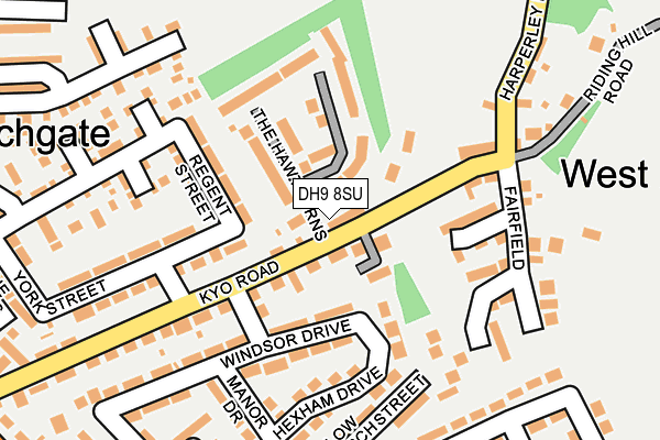 DH9 8SU map - OS OpenMap – Local (Ordnance Survey)