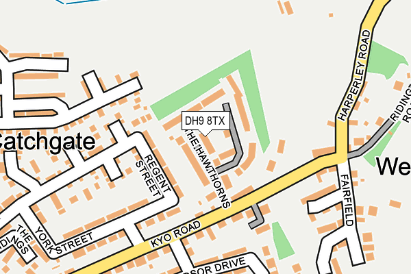 DH9 8TX map - OS OpenMap – Local (Ordnance Survey)