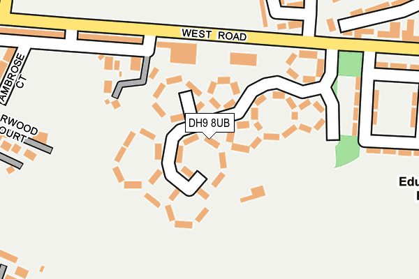 DH9 8UB map - OS OpenMap – Local (Ordnance Survey)