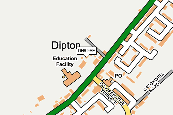 DH9 9AE map - OS OpenMap – Local (Ordnance Survey)