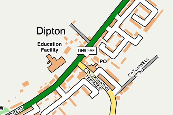 DH9 9AF map - OS OpenMap – Local (Ordnance Survey)