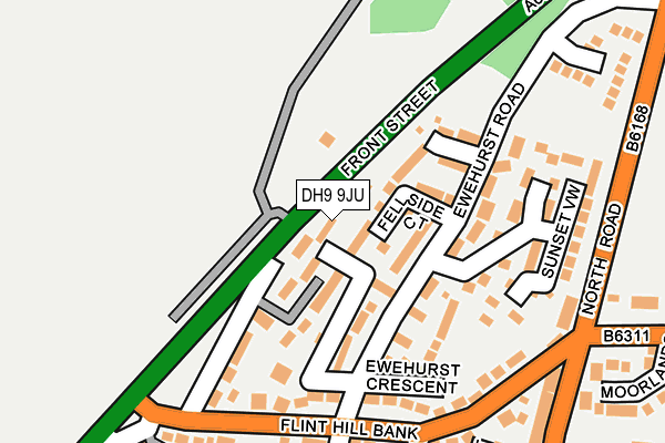 DH9 9JU map - OS OpenMap – Local (Ordnance Survey)