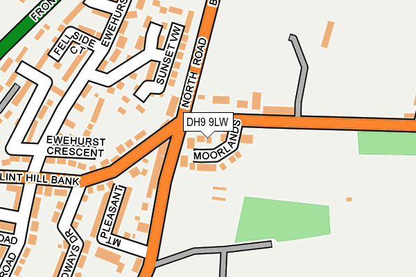 DH9 9LW map - OS OpenMap – Local (Ordnance Survey)