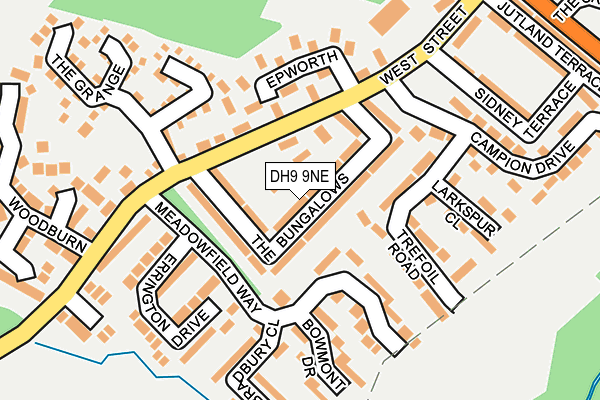 DH9 9NE map - OS OpenMap – Local (Ordnance Survey)