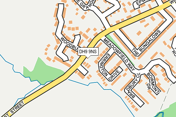 DH9 9NS map - OS OpenMap – Local (Ordnance Survey)