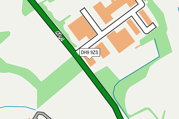 DH9 9ZS map - OS OpenMap – Local (Ordnance Survey)