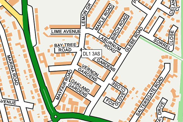 DL1 3AS map - OS OpenMap – Local (Ordnance Survey)