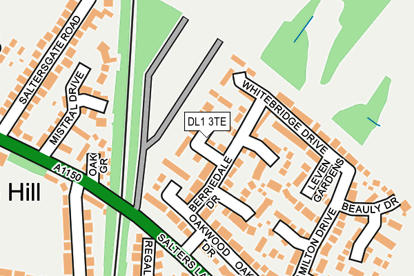 DL1 3TE map - OS OpenMap – Local (Ordnance Survey)