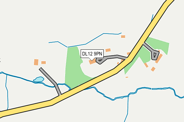 DL12 9PN map - OS OpenMap – Local (Ordnance Survey)