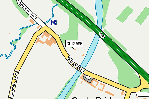 DL12 9SE map - OS OpenMap – Local (Ordnance Survey)