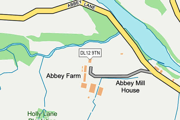 DL12 9TN map - OS OpenMap – Local (Ordnance Survey)