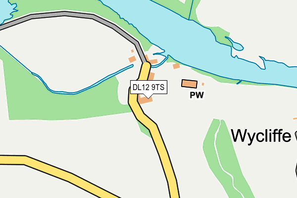 DL12 9TS map - OS OpenMap – Local (Ordnance Survey)