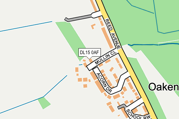 DL15 0AF map - OS OpenMap – Local (Ordnance Survey)