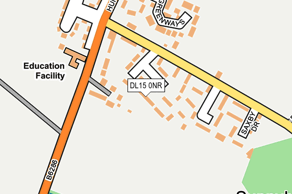 DL15 0NR map - OS OpenMap – Local (Ordnance Survey)