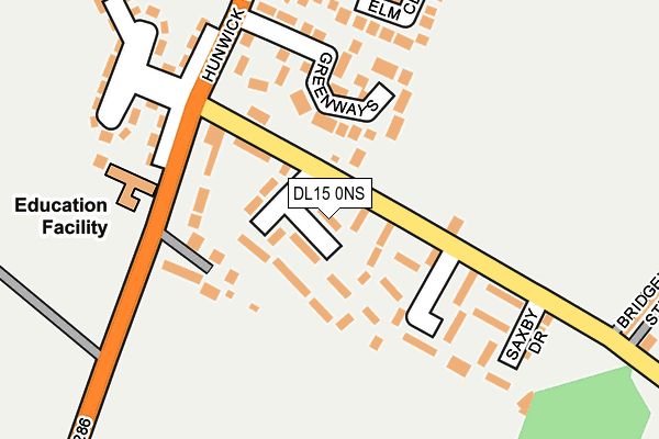 DL15 0NS map - OS OpenMap – Local (Ordnance Survey)