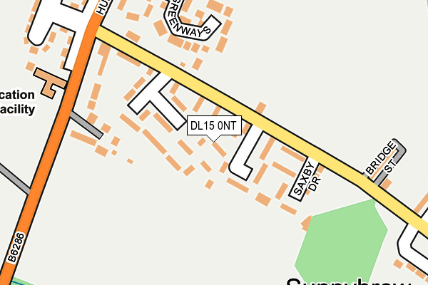 DL15 0NT map - OS OpenMap – Local (Ordnance Survey)