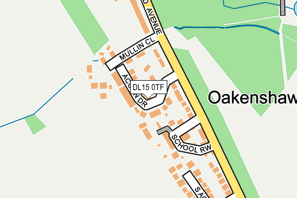 DL15 0TF map - OS OpenMap – Local (Ordnance Survey)