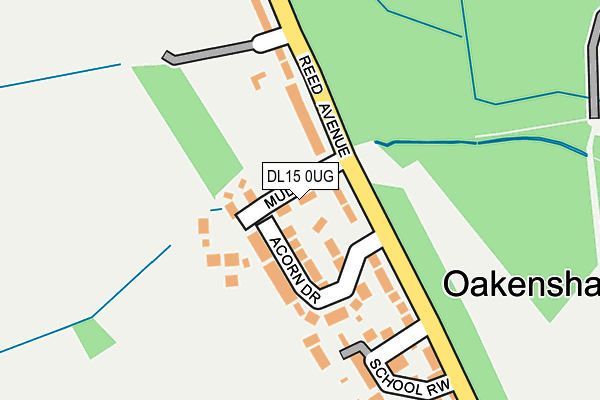 DL15 0UG map - OS OpenMap – Local (Ordnance Survey)